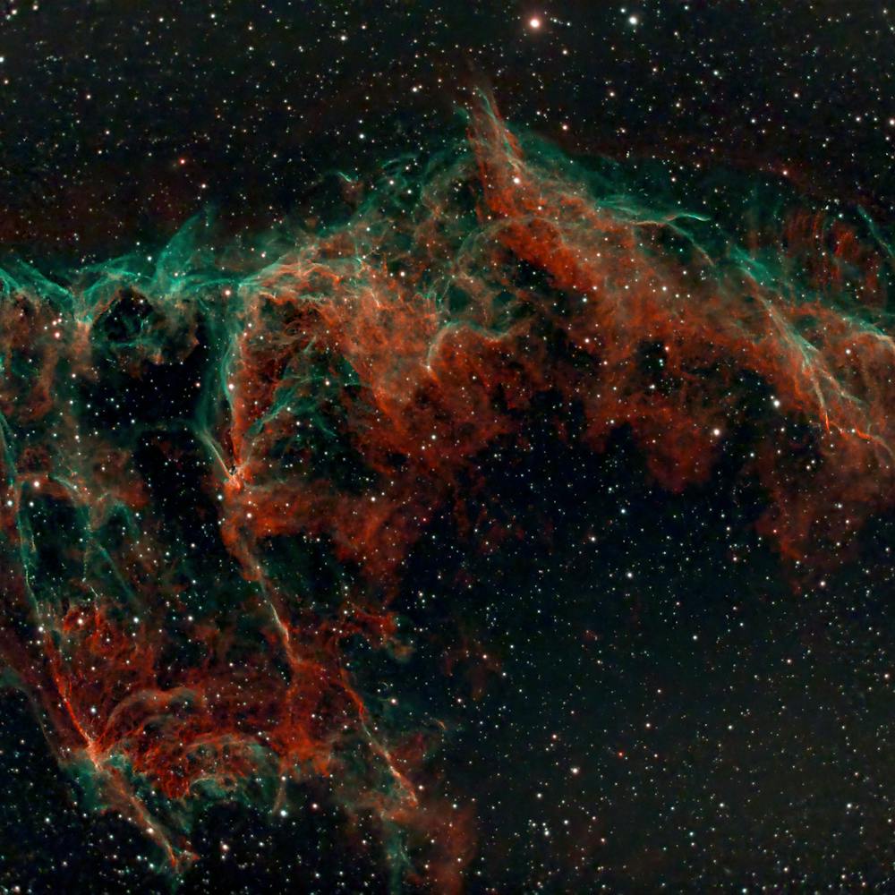 pexels-photo-17505903